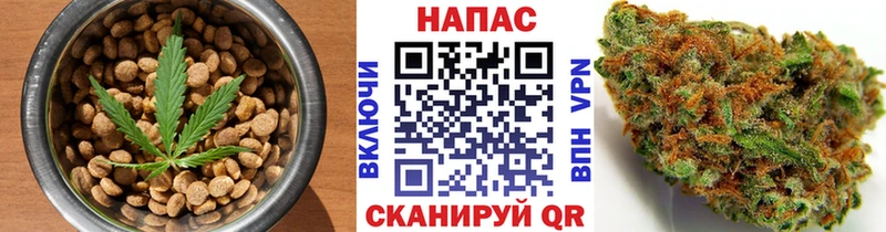 Купить закладки  Нижнеудинск  Печенье с ТГК марихуана 