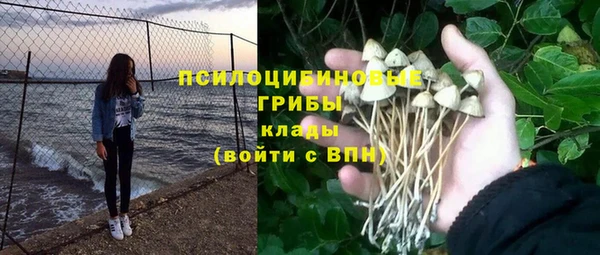 эйфоретик Арсеньев