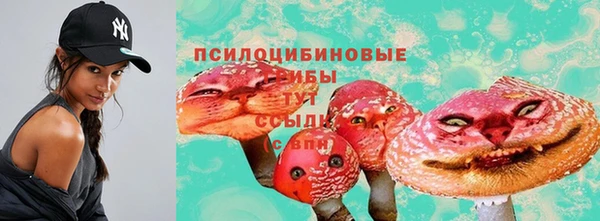 эйфоретик Арсеньев