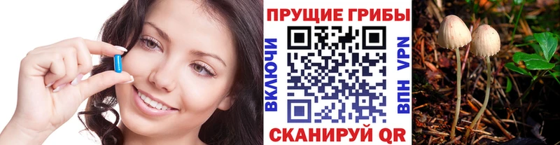 Купить  Нижнеудинск  Галлюциногенные грибы GOLDEN TEACHER 